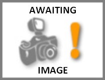 Waiting for a Photo of this 3 bedroom  Semi Detached House to rent