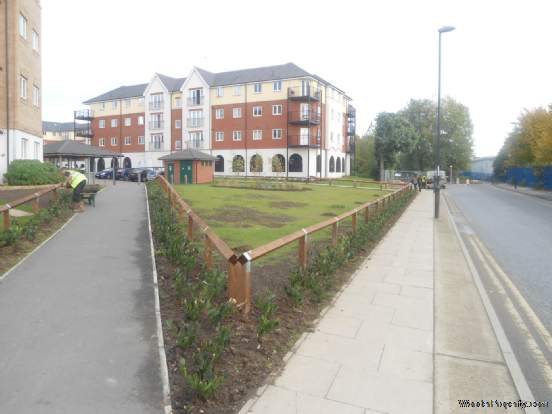 Main Photo