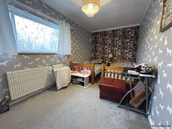 Main Photo