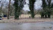 Main Photo of a Plot for sale