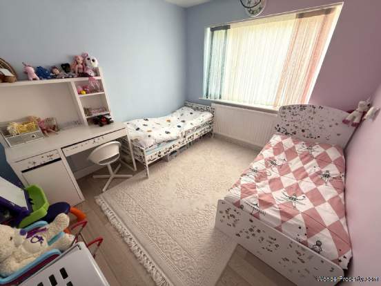 Main Photo