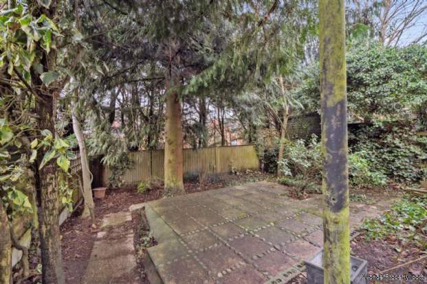Main Photo