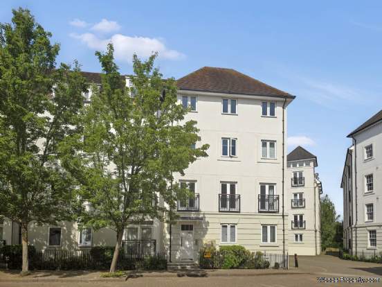Main Photo