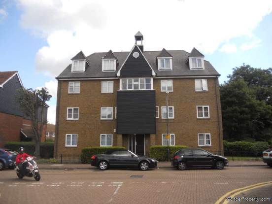 Main Photo