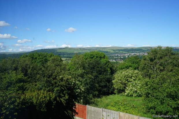 Main Photo