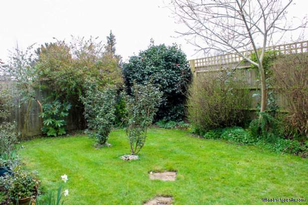 Main Photo
