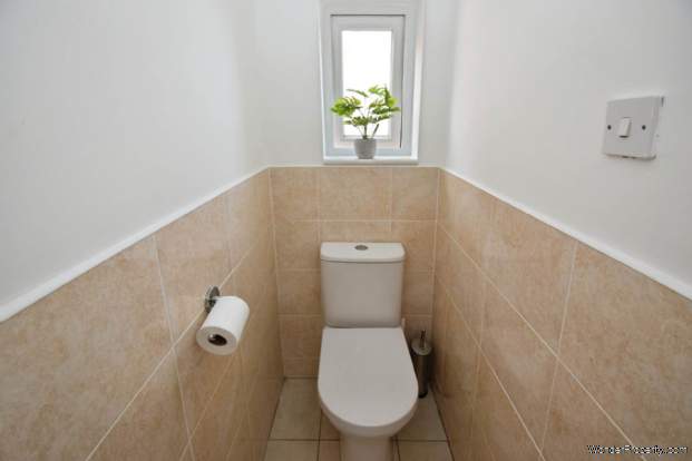 Main Photo