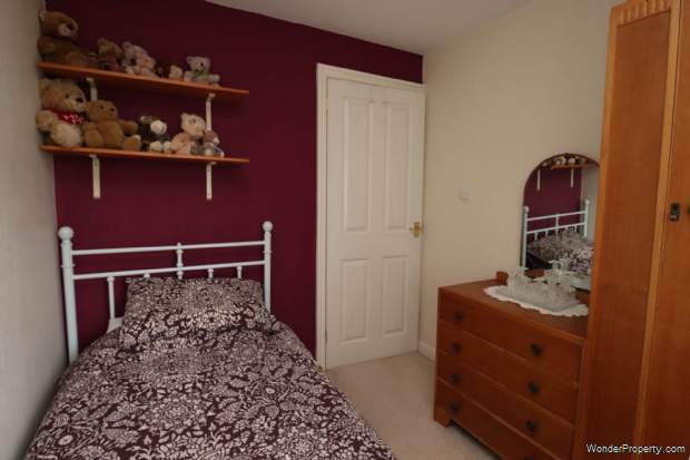 Main Photo