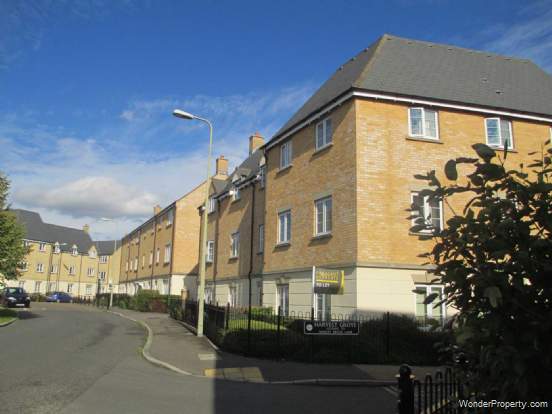 Main Photo