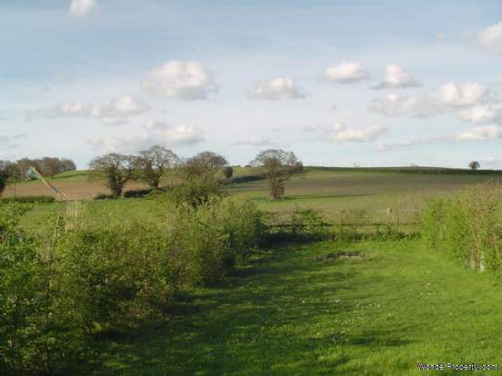 Main Photo