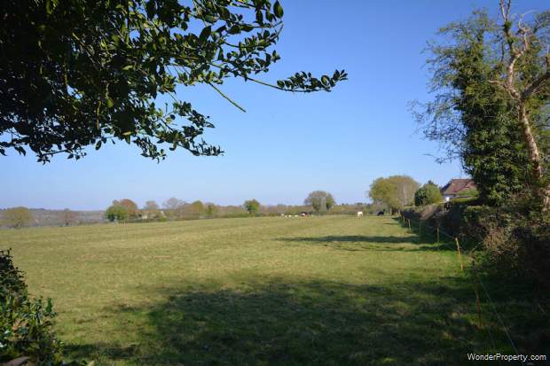 Main Photo